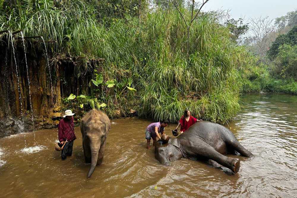 Reisebüro Kopp - Elefantencamp bei Chiang Mai