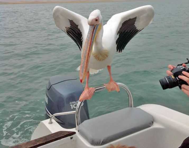 Reisebuero Kopp - Namibia