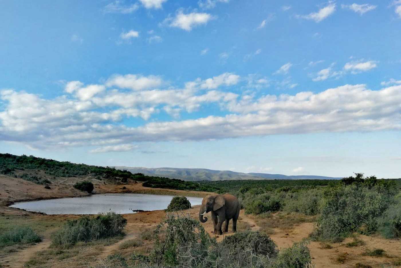 Reisebuero Kopp - Südafrika