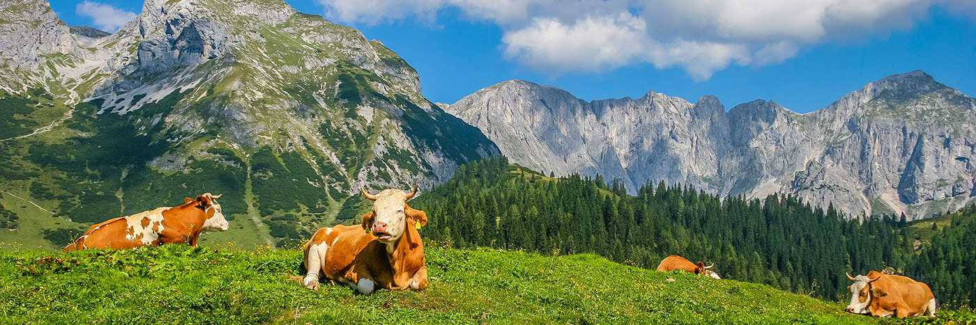 Österreich