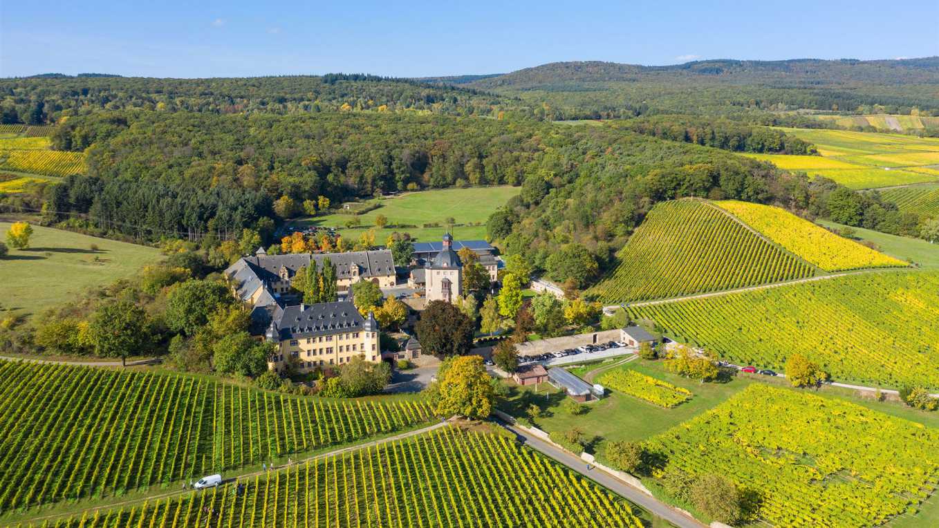 Schloss Vollrads Schloss Vollrads