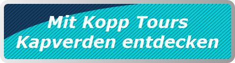 Mit Kopp Tours